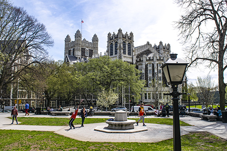 An image of the campus of New York College